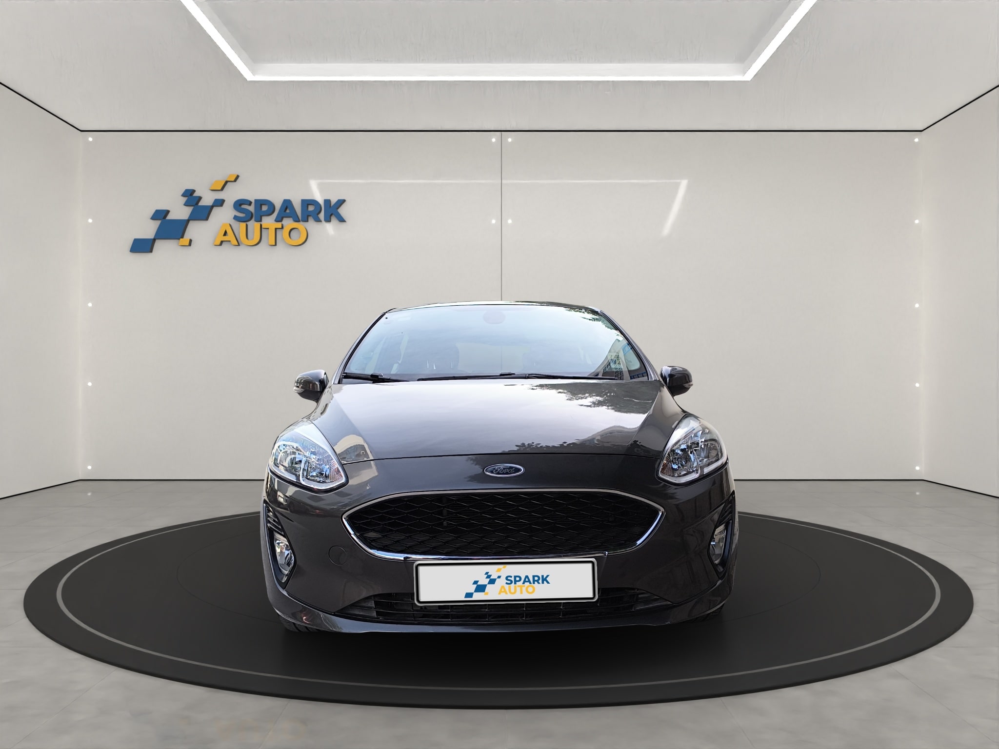 Ford Fiesta image